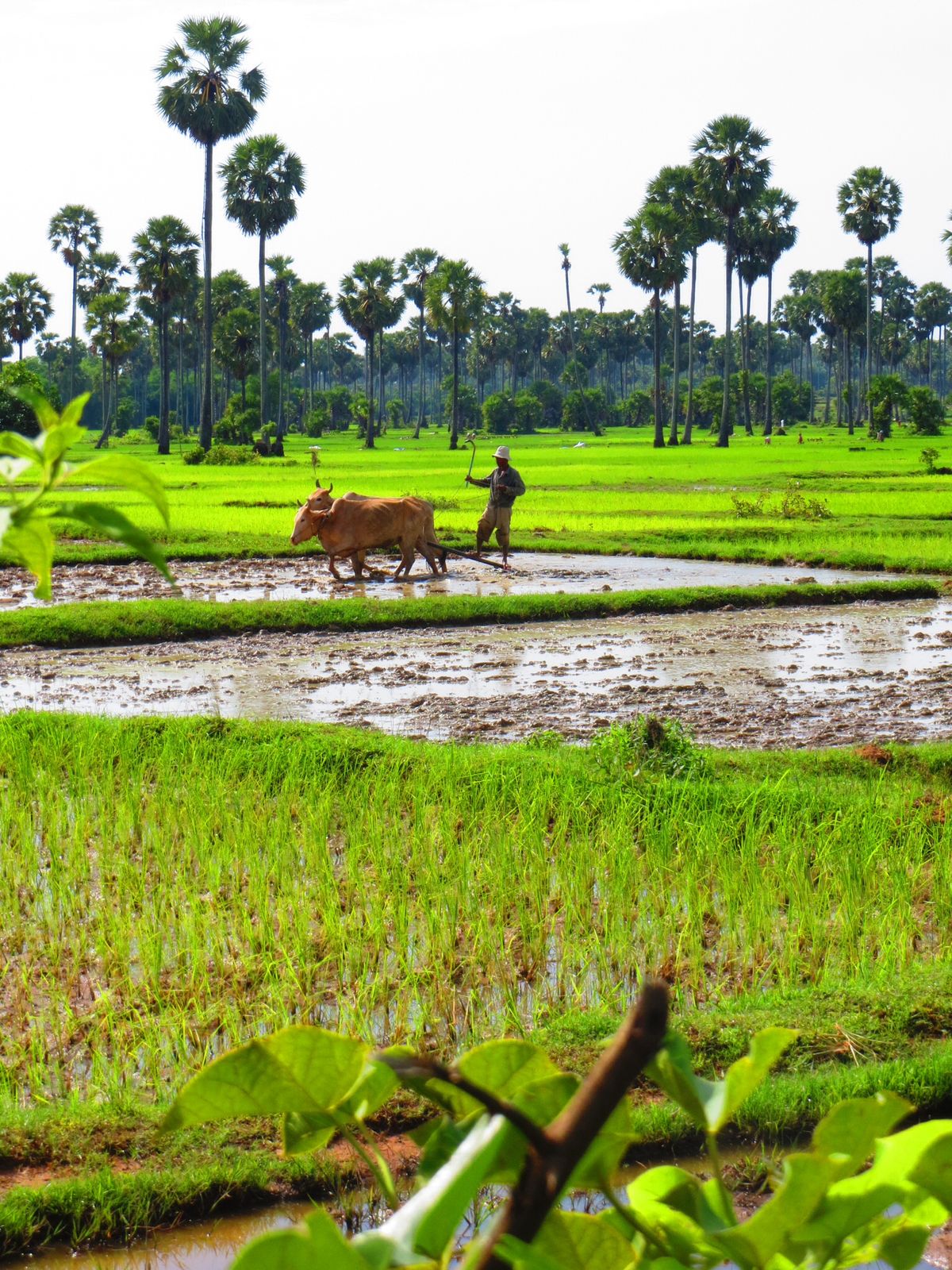 Schedule a site visit